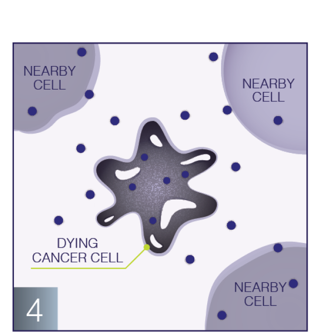 Destroy cancer cell graphic