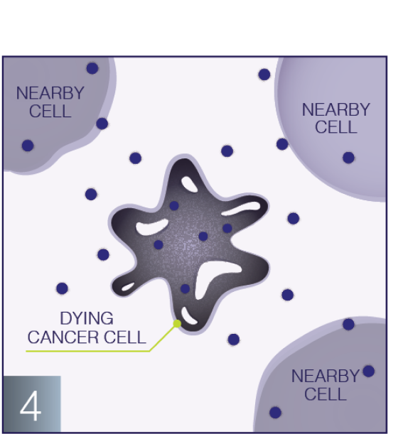 Destroy cancer cell graphic