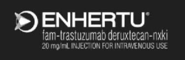 About ENHERTU | ENHERTU® (fam-trastuzumab deruxtecan-nxki) | HER2+ (IHC ...