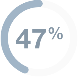 47% overview icon