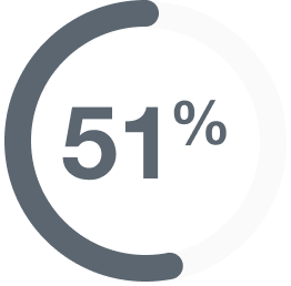 51% overview icon