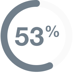 53% overview icon