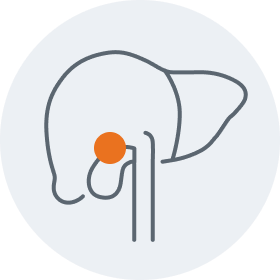 Biliary tract graphic