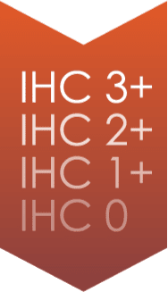 IHC scores