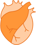 Heart problems icon