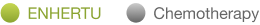 ENHERTU response rate
