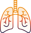 Lung icon