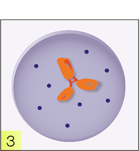Cancer cell graphic