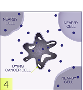 Destroy cancer cell graphic