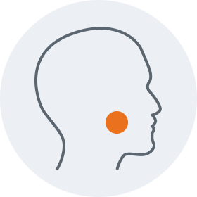 Salivary gland graphic